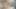 Şımarık göğüslü abanoz bebek dania vegax ilk porno filmini pov tarzı yapar - teamkeet tam sahne