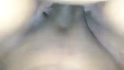 hanımları KEDİ nefis