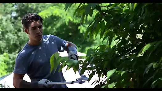 AMANDA FOX l'amante di cazzi Duri