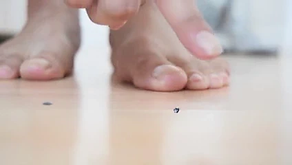 Tanrıça xpbicta skylarsrene dev