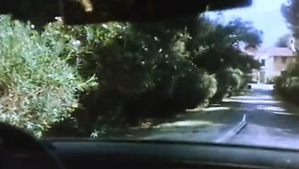 Dixie ray hollywood yıldızı