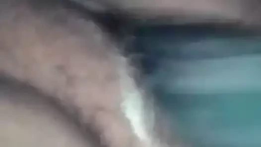 Dik kedi sevmek oyuncak