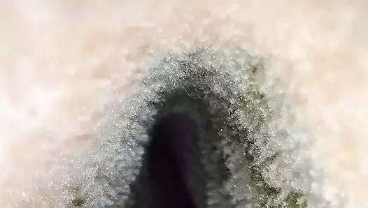 Gösterilen onu kedi at gece ve Mastürbasyon