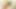 Southernstrokes çok güzel twink lior hod zonklayan yarağını tek başına okşuyor