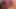 Ateşli lezbiyenler dildo emiyor ve yatakta sikişiyor