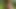 Açık havada yalınayak azdırma