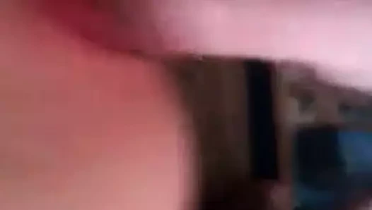 Polonyalı bir kedi yüksek sesle çekim