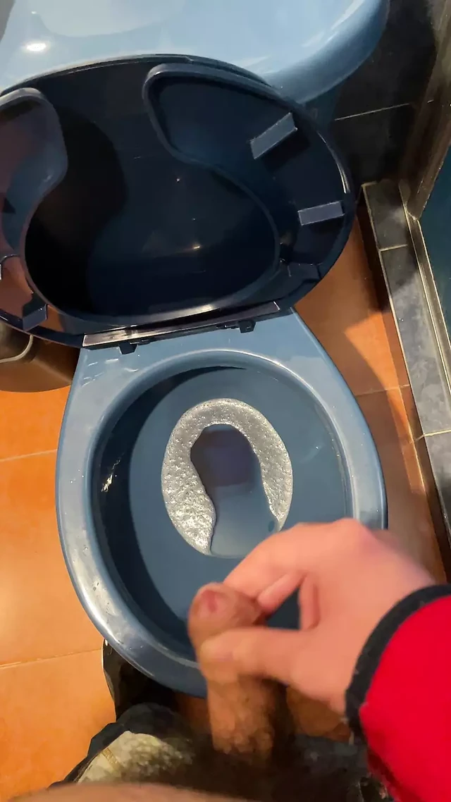 Писаю и кончаю в туалете