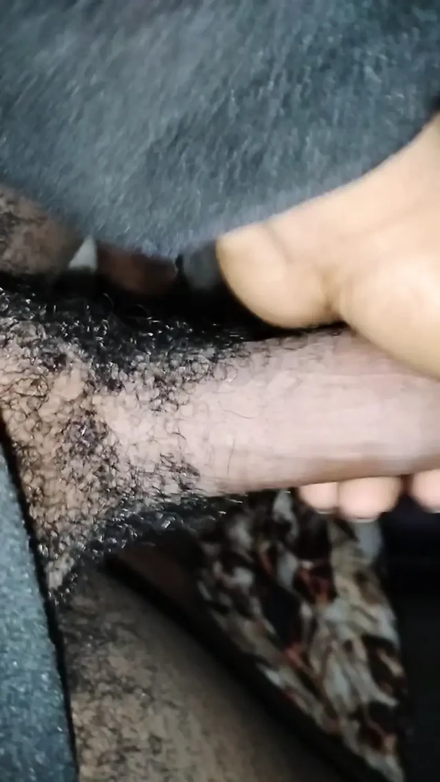 Canavar büyük kahverengi siyah yarak