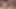 Pornstarplatinum yaramaz melek küçükler – anal ve kedi becerdin