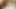 Asyalı orta yaşlı seksi kadın maxine x'e oğlan oyuncağı hizmet ediyor