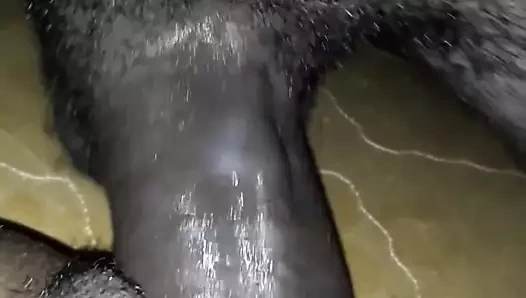 açık KEDİ ile bbc