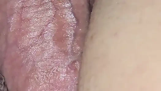 Ağzına bir döl, güneye de bir döl