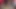 Üvey kız kardeşim yatak odasında yalnızken beni seks için davet etti