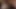 00001Ellie Bee