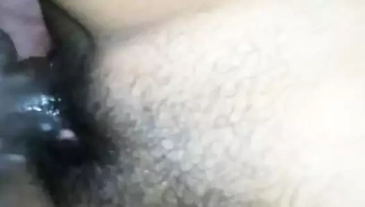 Srilankan sıkı kedi kahrolası