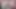 Travesti travesti transseksüel orta yaşlı seksi kadın