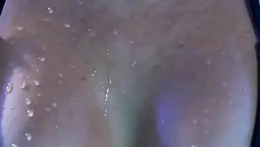 Night Swim Collection