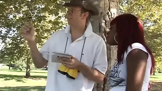 Seksin sınırı olmadığı yerde