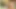 Persia Monir görevi alan orta yaşlı seksi kadın