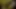 Lanet patronumun bbw sürtük karısını aldatıyor