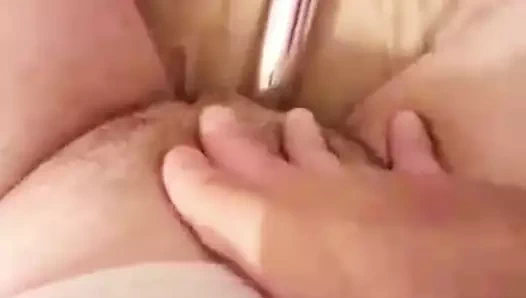 Şişman ıslak kıllı kedi web kamerası