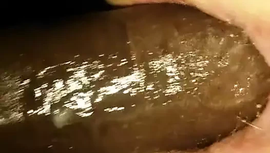 Siyah sikikleri beyaz köpek