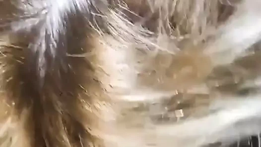 Irani iranian sex jadid jendeh sak persian