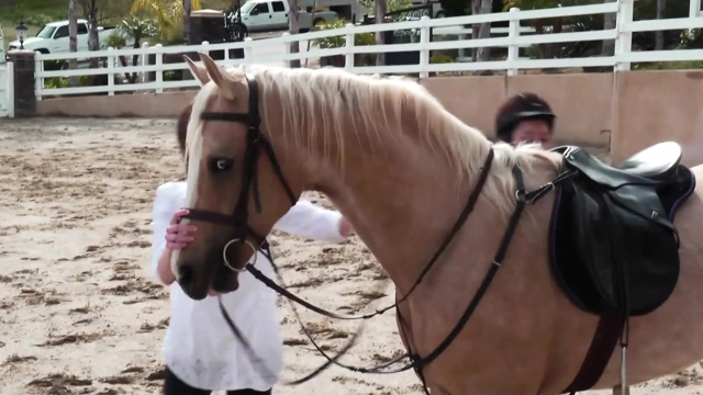 İki güzel genç kız ahırda