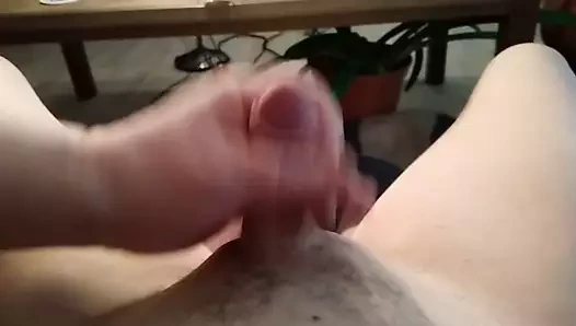 benim horoz alır sarsıldı