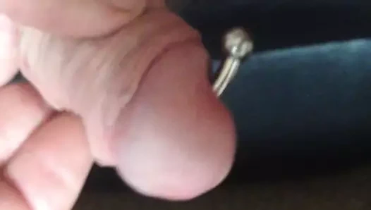 Ters prens albert 4 kalibreli halter