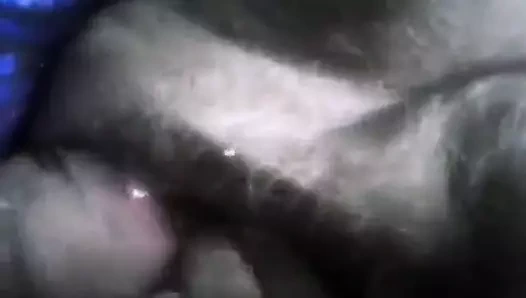 Kedi oyun ve fışkırtma