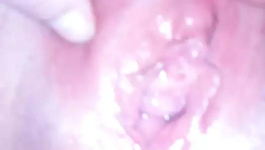 die Sau Cordula Grun