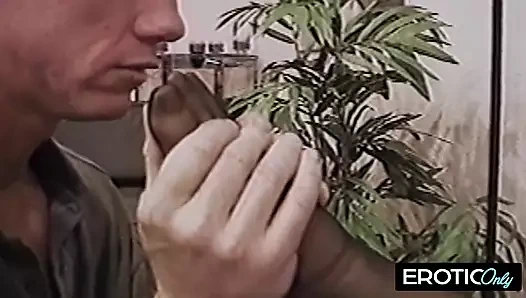 Foxxy'nin acımasız hakimiyeti