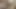 Yahudi İsrailli sharmuta Arap yarağı alıyor