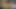 Hotkinkyjo dildo, sarkma ve baharın anısı