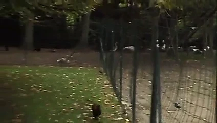 Sacrees Coquines 10-Vivienne Morillo