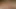 Japon güzellik masturbates ile dilso ve cums