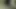 Ateşli genç fahişe ıslak amcığıyla asılı aygırların yüzüne biniyor