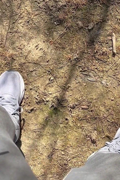 Piss Outdoors ve daha fazla derleme