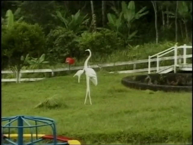 Big boobs latin tranny fucking next to a pond