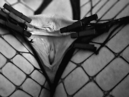 Karımla bdsm seansı, kıskaçlar, geniş açık amcık, fışkırtma,