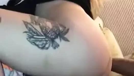 Siyah horoz vida için eş