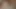 I accidentally booked my Stepmom, why didn't she leave? Her mature hairy MILF pussy was soaking at the thought of fucking me