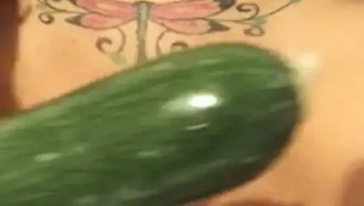 Veg amcık