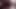 Sissy-gasium