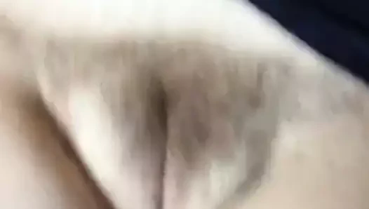 Grosse chatte poilue