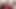 Bu genç orta yaşlı seksi kadınla ilgilenmek için 2 güzel yarak