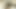 Backstage bts kedi fotoğraf çekimi 1
