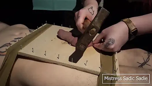 Balık kancaları ve iğneler ile sert cbt